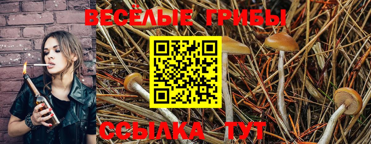 как найти закладки  Вход с VPN  Асбест  Галлюциногенные грибы MAGIC MUSHROOMS 